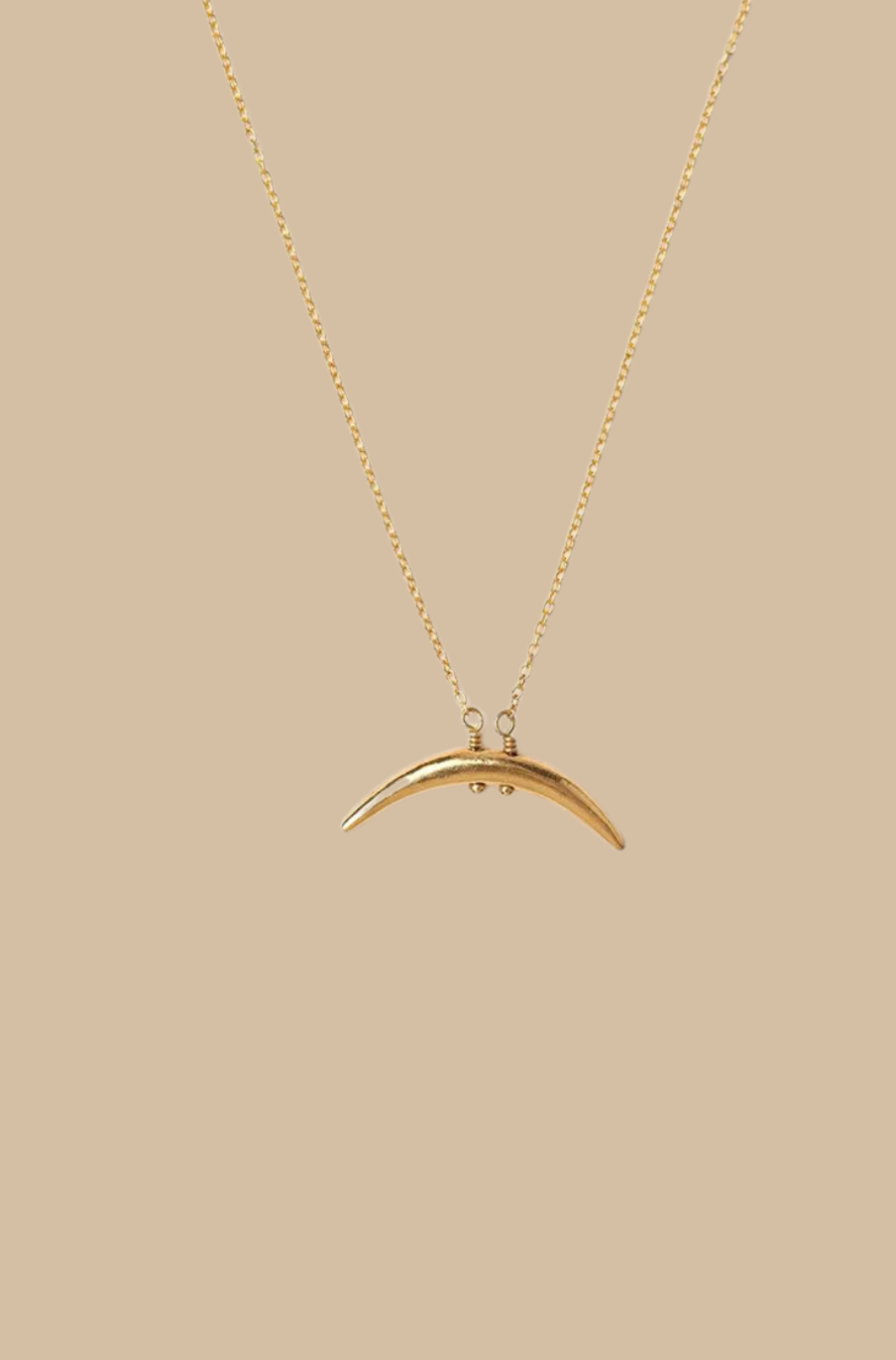 Yellow Gold Delicate Horn Necklace