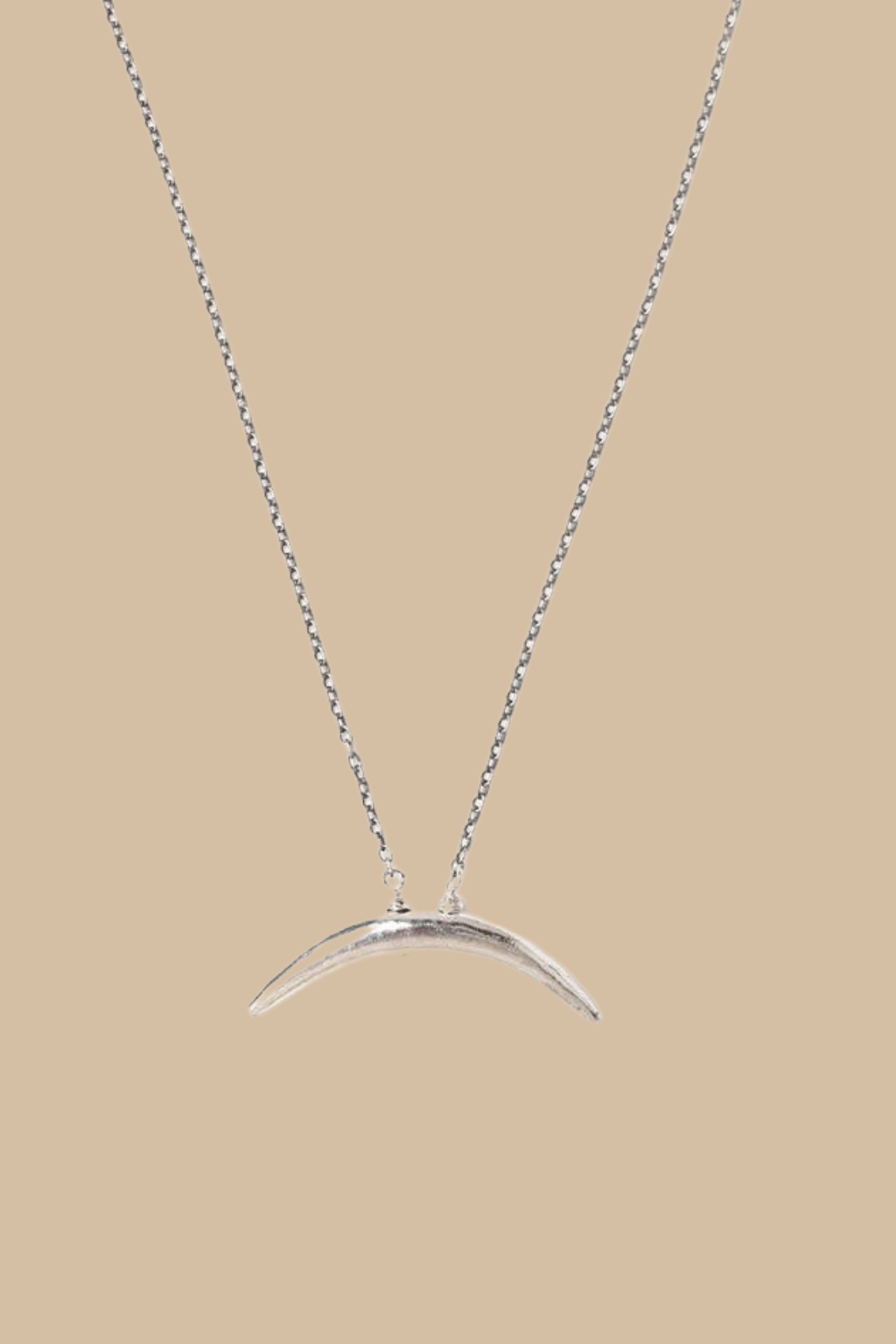 Sterling Silver Delicate Horn Necklace